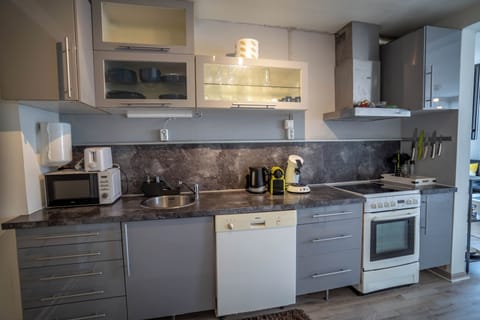 Apartment, 4 Bedrooms, Smoking, Balcony | Private kitchen