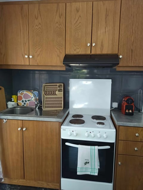 Apartment | Private kitchen | Mini-fridge, toaster, spices, cleaning supplies