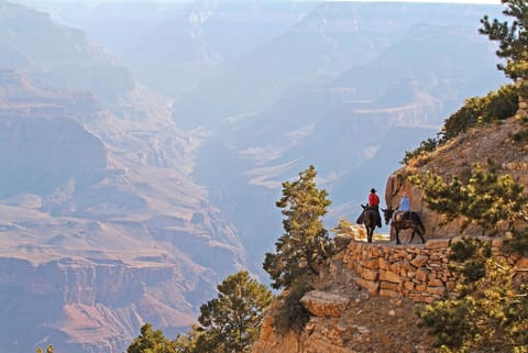 Horseback riding