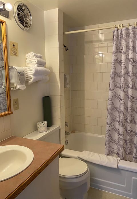 Combined shower/tub, free toiletries, hair dryer, towels