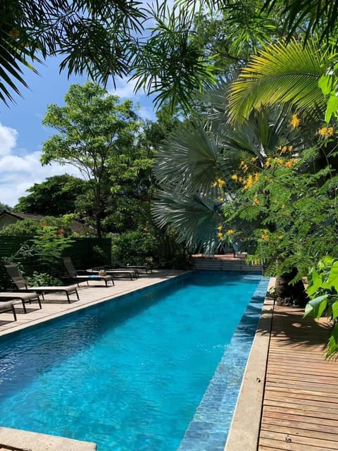 Outdoor pool, sun loungers