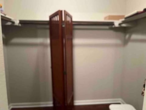 Huge master BR walk-in closet