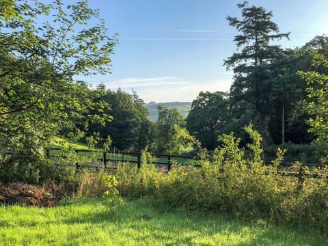 Outdoor | Ynywsen Dairy Flat, Nantgaredig