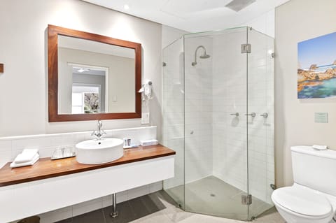 Combined shower/tub, jetted tub, hair dryer