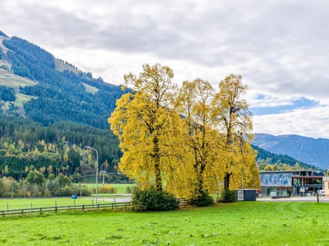 Surroundings [summer] (1-5 km)