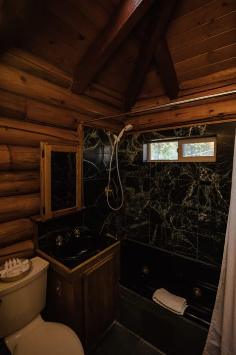 Log Cabin | Bathroom | Shower, free toiletries, hair dryer, towels