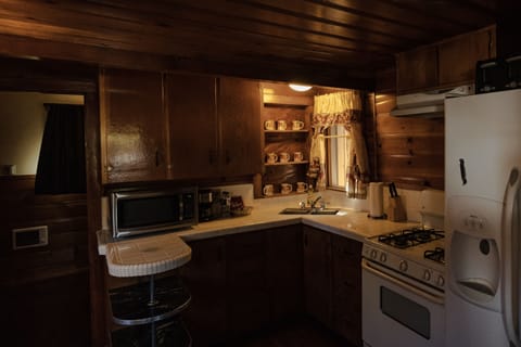 Rustic Loft Cabin | Private kitchen | Microwave, coffee/tea maker, freezer, paper towels