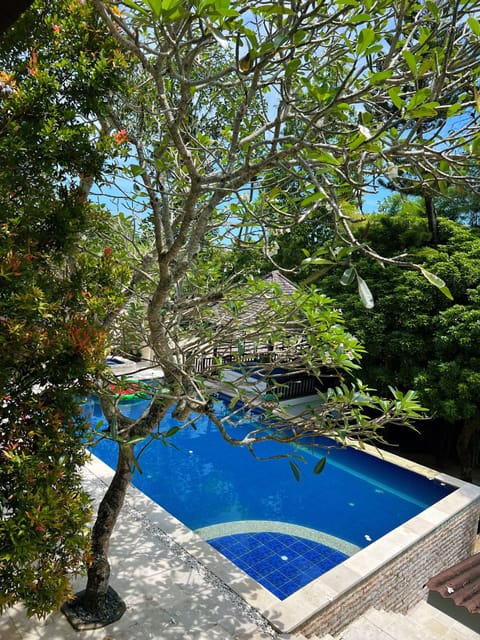 Comfort Double Room, 1 King Bed, Pool View | Pool | Outdoor pool