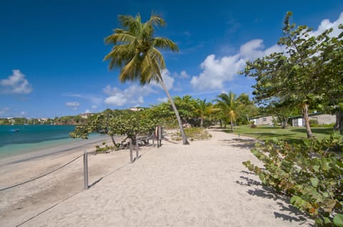 On the beach, white sand, sun loungers, beach umbrellas