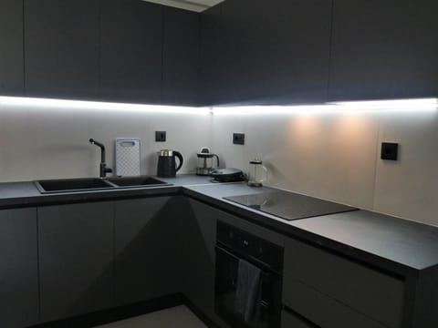 Comfort Apartment, Balcony, City View | Private kitchen | Full-size fridge, oven, stovetop, dishwasher