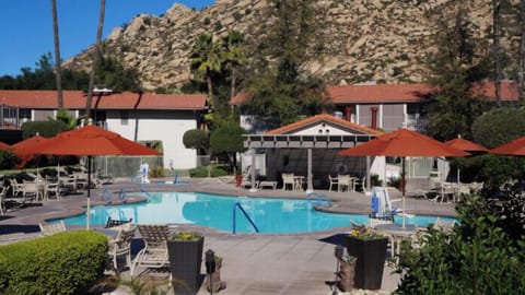 RVO_2_Main_Gallery_2020_1