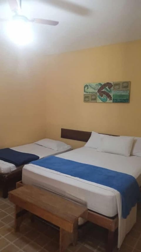 Basic Room | Bed sheets