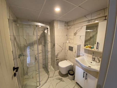 Standard Room | Bathroom | Shower, hair dryer, slippers, towels