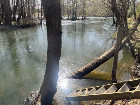 Ladder down to step directly into the river (early spring view)