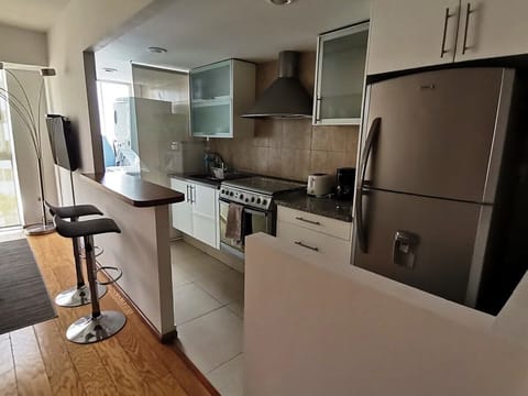 Family Apartment | Private kitchen | Full-size fridge, microwave, oven, toaster