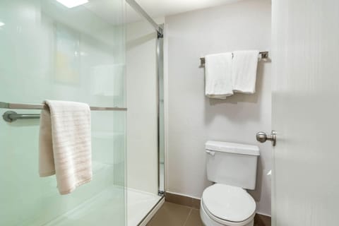 Business Room, 1 King Bed, Non Smoking | Bathroom | Combined shower/tub, hair dryer, towels, soap