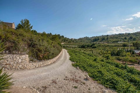 Private driveway towards the Finca alongside the vineyard. 