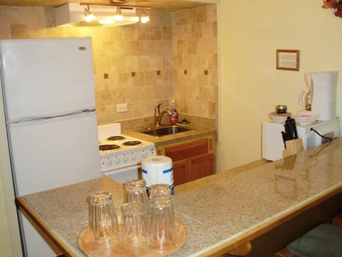 Standard Condo | Private kitchen | Fridge, microwave, coffee/tea maker