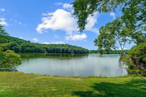 Guests are invited to swim, fish and kayak directly from the property!