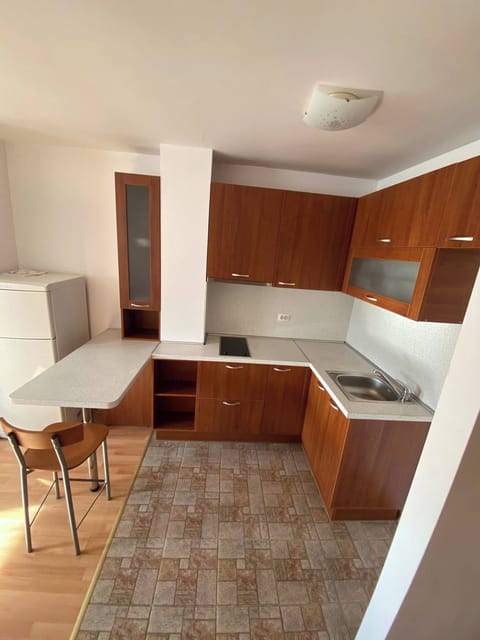 Apartment, 1 Bedroom, Balcony | Private kitchen