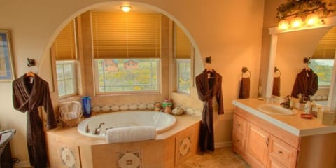Combined shower/tub, free toiletries, hair dryer, bathrobes