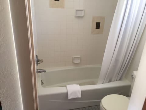 Combined shower/tub, free toiletries, hair dryer, towels