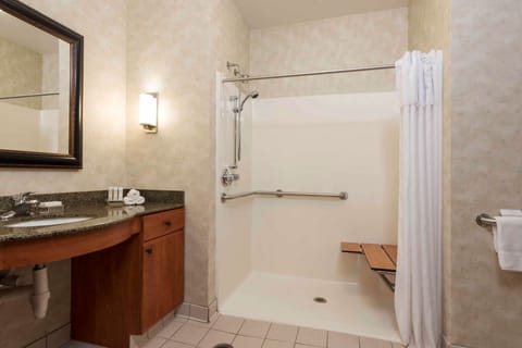 Suite, 2 Queen Beds, Accessible, Non Smoking | Bathroom shower