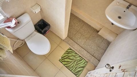 Shower, free toiletries, bidet, towels