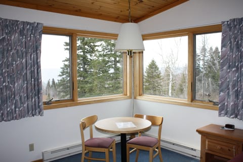 Room, Whirlpool, Fireplace, Lake View | View from room