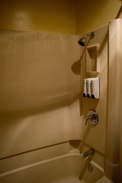 Deluxe Room, 1 King Bed | Bathroom shower