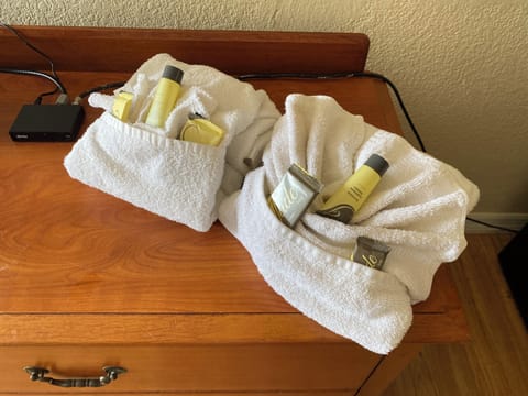 Combined shower/tub, free toiletries, towels, soap