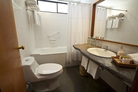 Family Suite, 2 Bedrooms (Familiar Lago) | Bathroom | Combined shower/tub, hair dryer, bathrobes, slippers