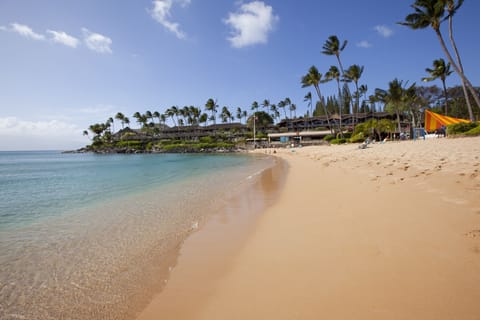 On the beach, sun loungers, beach towels, snorkeling