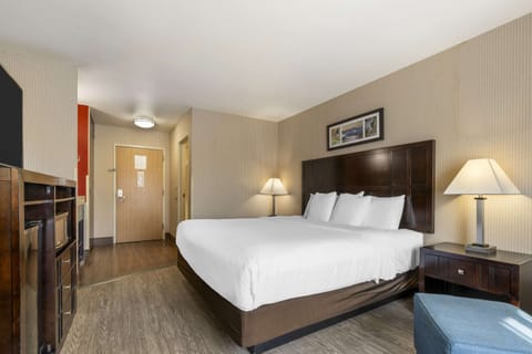 Standard Room, 1 King Bed, Non Smoking (Pet Friendly) | Premium bedding, desk, blackout drapes, iron/ironing board