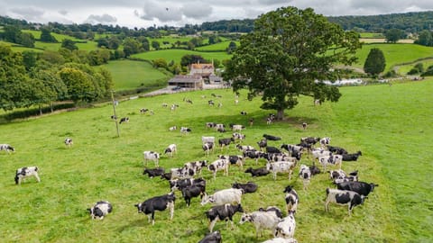 Views to Owls Nest, Bolthole Retreats