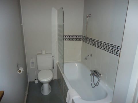 Combined shower/tub, free toiletries, hair dryer, towels