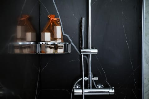 Combined shower/tub, hair dryer, towels