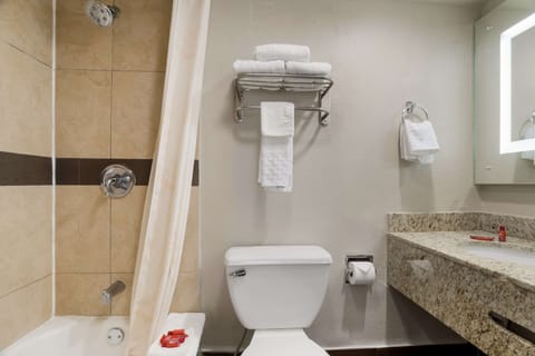 Combined shower/tub, hydromassage showerhead, free toiletries