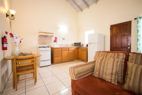 Classic Room, 1 Double Bed, Kitchen | Living area | Flat-screen TV