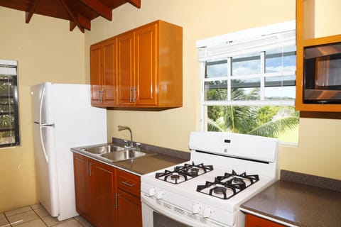 Studio with full Kitchen | Private kitchen | Full-size fridge, microwave, oven, electric kettle