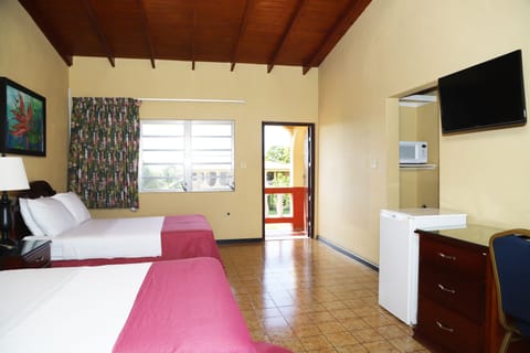 Deluxe Studio with Patio | Individually furnished, desk, iron/ironing board, free WiFi
