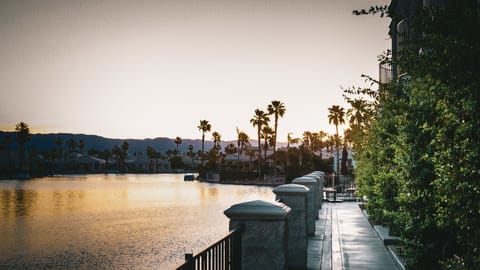 Premium Room, Lake View | View from room