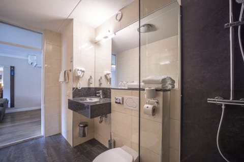 Eco-friendly toiletries, hair dryer, towels