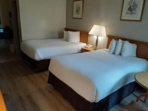 In-room safe, iron/ironing board, free rollaway beds, free WiFi