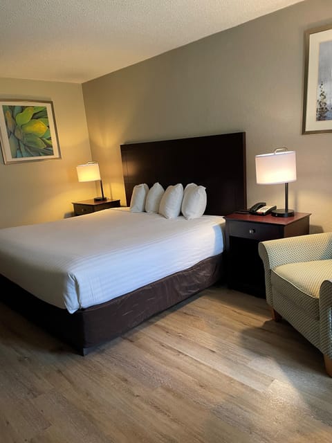 Standard Room, 1 King Bed | In-room safe, iron/ironing board, free rollaway beds, free WiFi