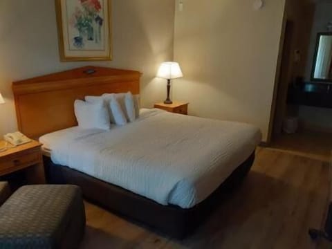 In-room safe, iron/ironing board, free rollaway beds, free WiFi