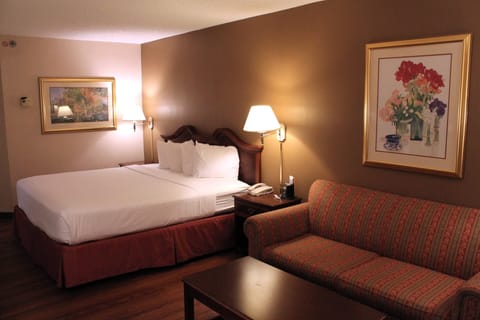 Standard Room, 1 Queen Bed, Non Smoking (Interior) | Room amenity