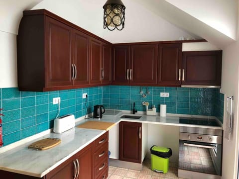 House | Private kitchen | Fridge, microwave, oven, stovetop