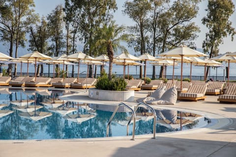 Seasonal outdoor pool, pool umbrellas, sun loungers