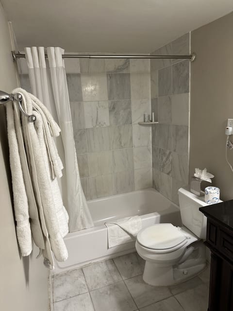 Deluxe Room, 1 Queen Bed | Bathroom | Combined shower/tub, free toiletries, hair dryer, towels